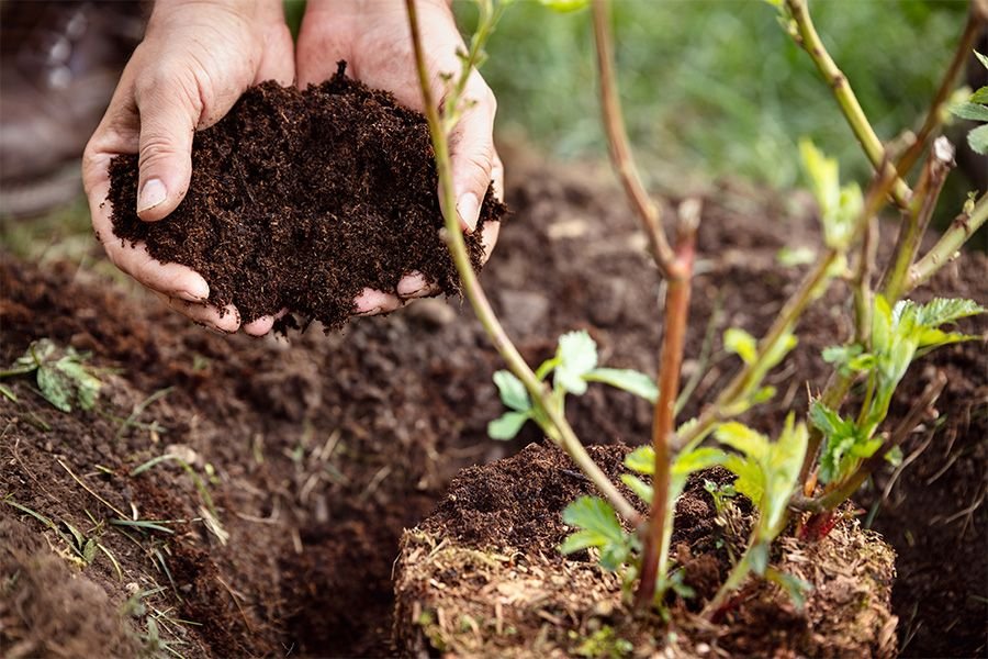 Soil & Compost Preparation
