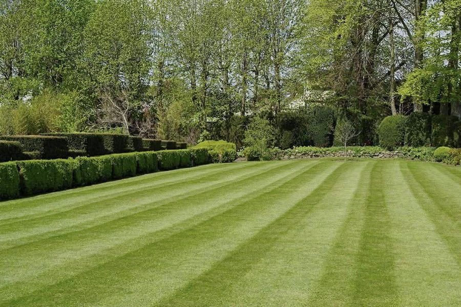 Lawn Care